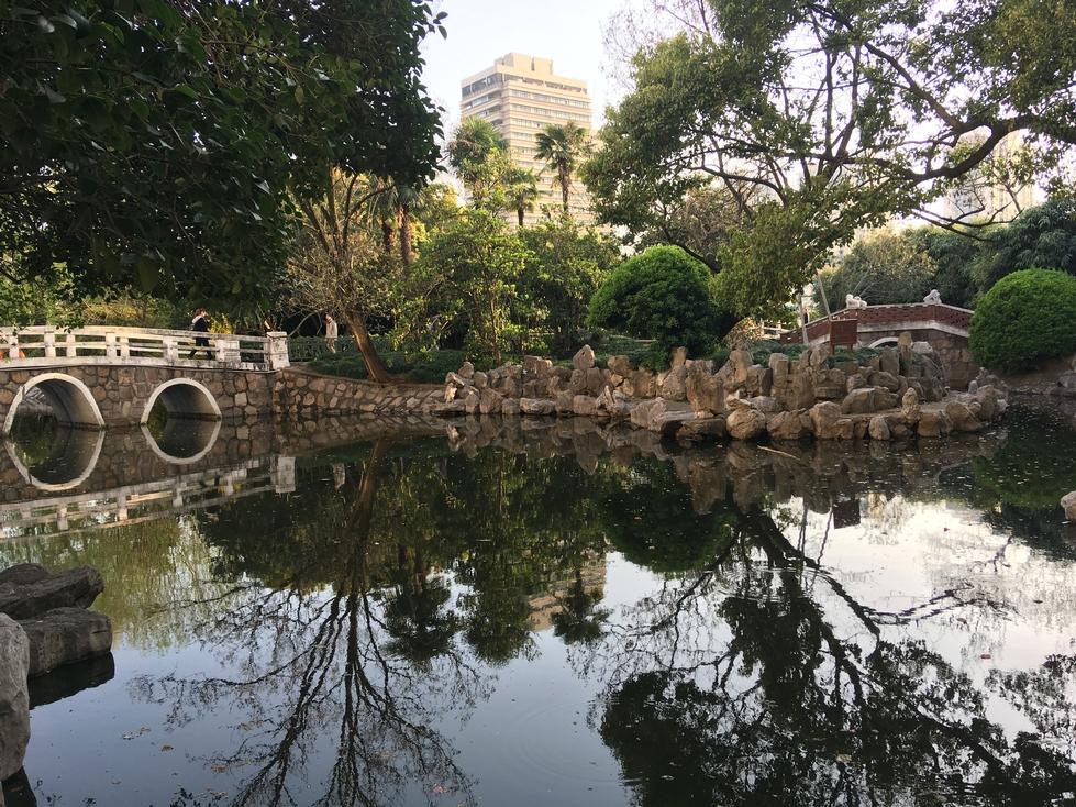 Pond with bridge in background